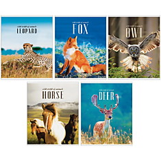 Тетрадь 48л., А5, клетка ArtSpace "Природа. World of animals", ВД-лак