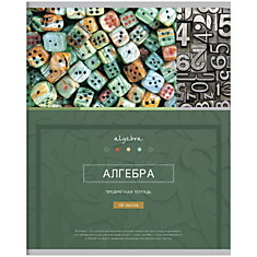 Тетрадь предметная 48л. ArtSpace "Новый век" - Алгебра, металлизация, ТВИН-лак, конгрев