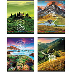 Тетрадь 60л., А5, клетка BG "Color viewt"