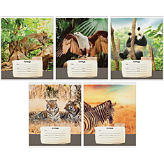 Тетрадь 12л., косая линия ArtSpace "Природа. Wild animals"