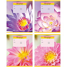 Тетрадь 12л., клетка BG "Sweet Flowers", эконом