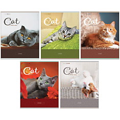 Тетрадь 48л., А5, клетка ArtSpace "Питомцы. Cute pets", ВД-лак