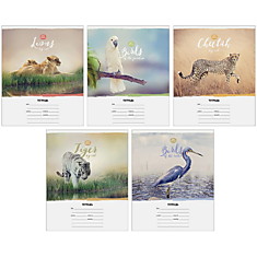 Тетрадь 12л., клетка ArtSpace "Природа. Wild animal"