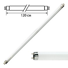 Лампа люминесцентная PHILIPS TL-D 36W/54-765 36 Вт цоколь G13 в виде трубки 120 см холодный дневной свет 815849