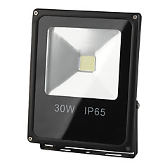 Прожектор светодиодный ЭРА 30 Вт 6500 К 35000 ч. класс защиты IP65 LPR-30-6500К-М