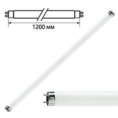 Лампа люминесцентная PHILIPS TL-D 36W/33-640 36 Вт цоколь G13 в виде трубки 120 см